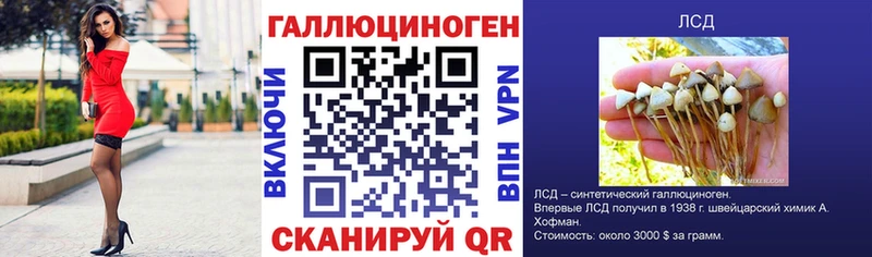 магазин    Солигалич  Галлюциногенные грибы мухоморы 